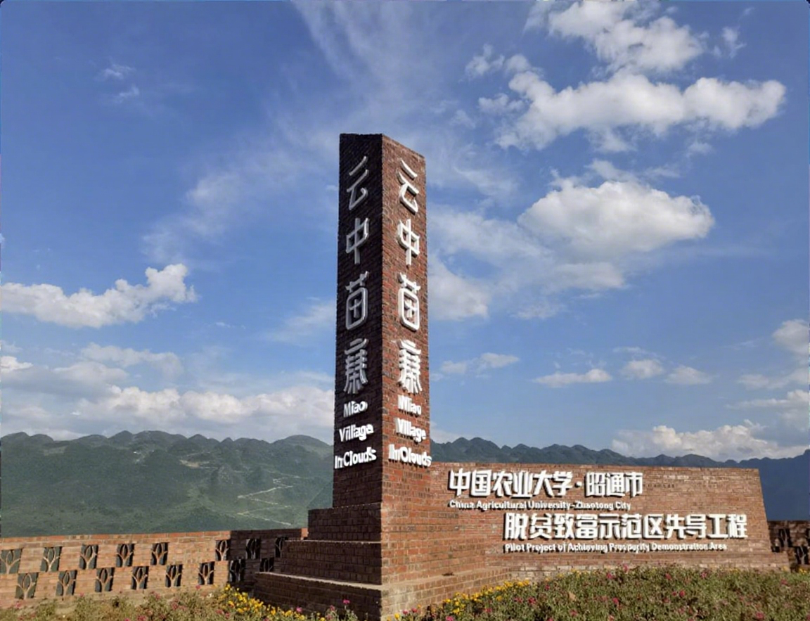 1.定点帮扶与乡村振兴引导页与内容页.png